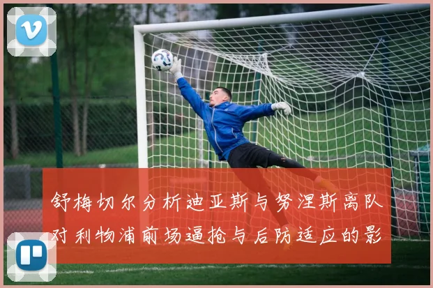 舒梅切尔分析迪亚斯与努涅斯离队对利物浦前场逼抢与后防适应的影响